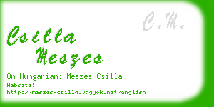 csilla meszes business card